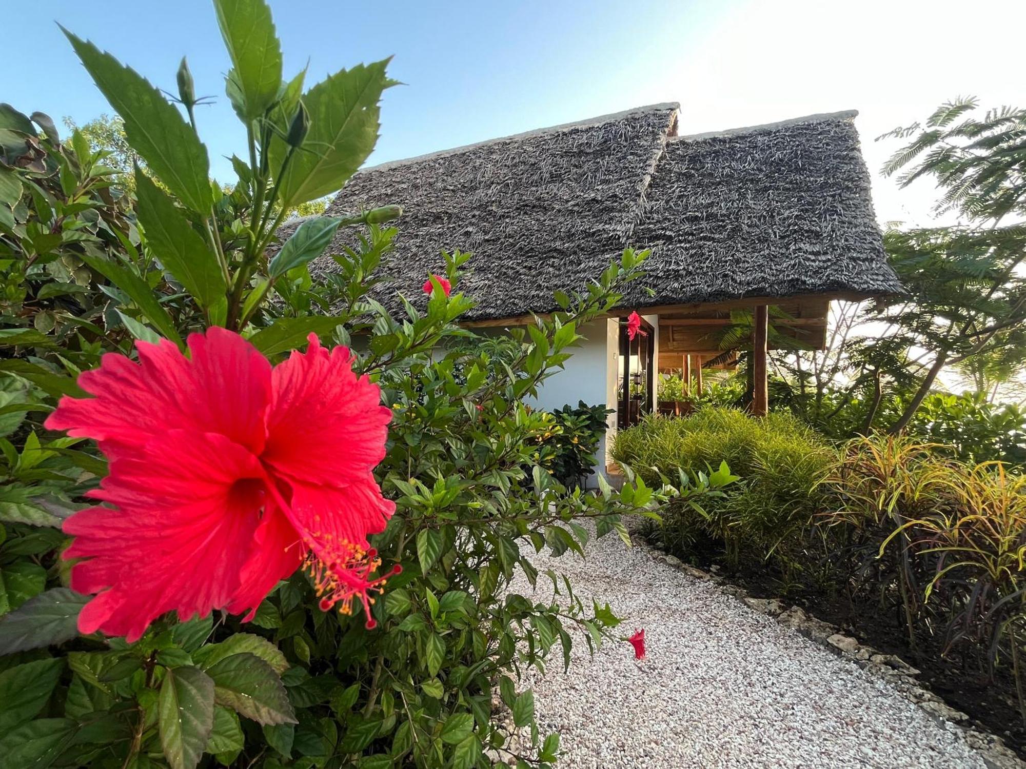 Hotel Kidoti Bay Zewnętrze zdjęcie